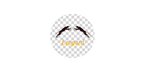 https://leopardindco.com/uploads/image/20240527/0886fad6f5b8b6011b42708db8032103.jpg